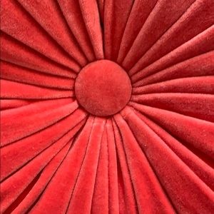 Meet your Posher, Julianna